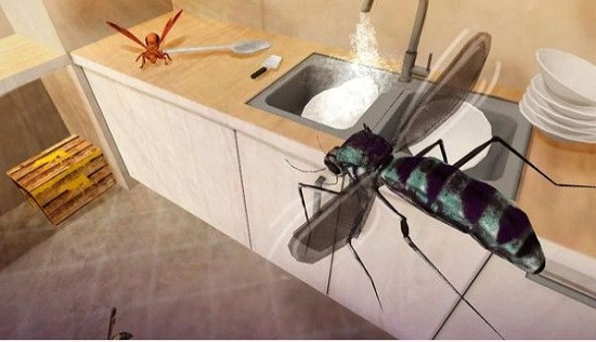 蚊子家庭生活模拟器3D V1.0 安卓版